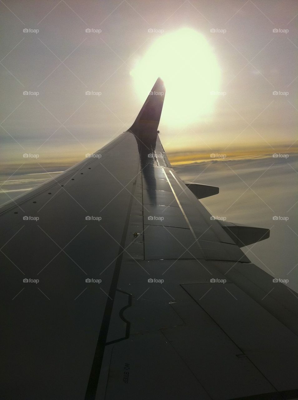 CONTINENTAL AIRLINES BOEING B737-900 JFK NYC NEW YORK