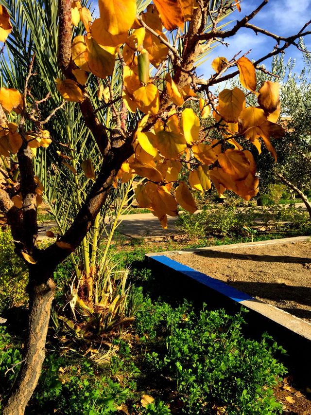 autumn