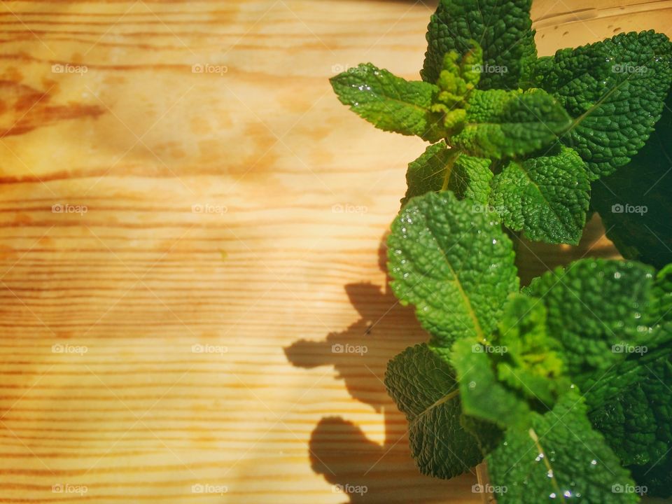 Mint leaves