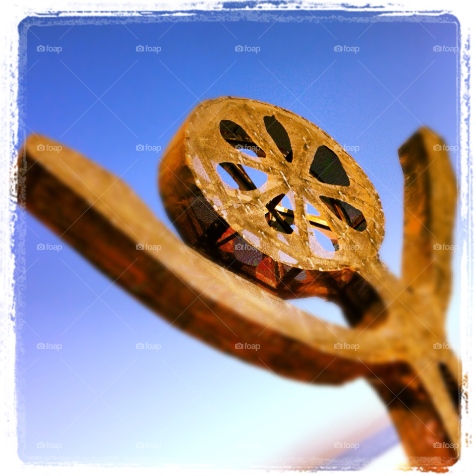 sky blue iphone shape by chakali