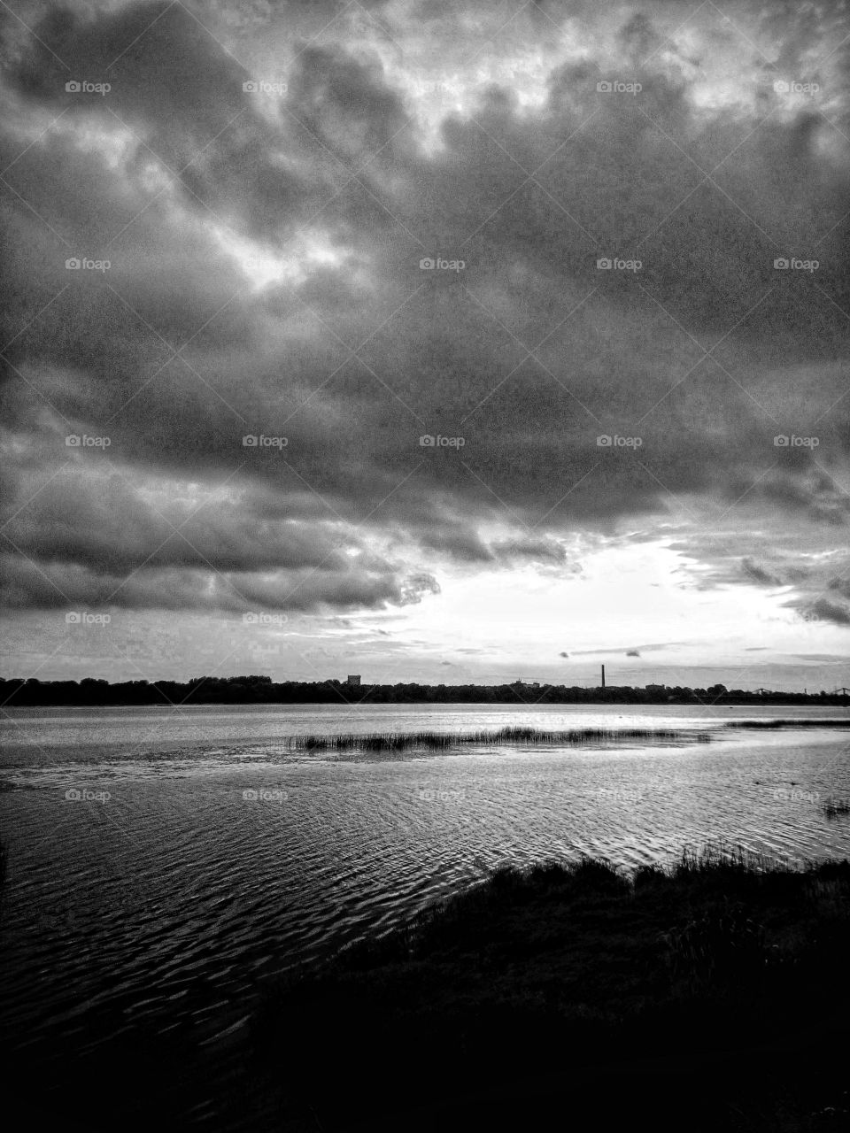 "Don't ever let the light of your soul dim, even if the world seems black and white."
~Tilicia Haridat