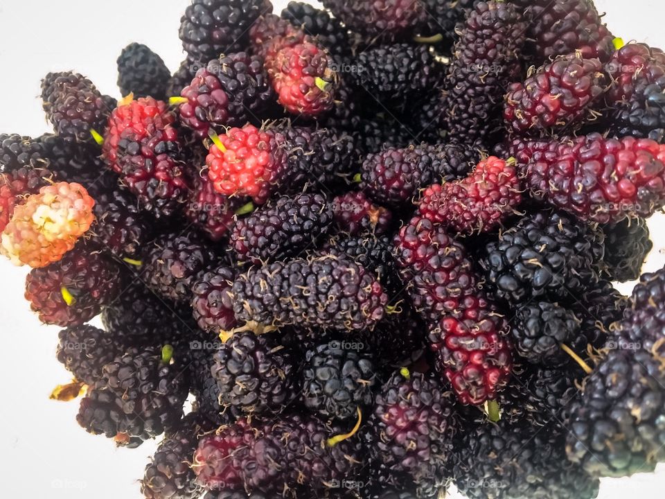 Fresh mulberry fruits