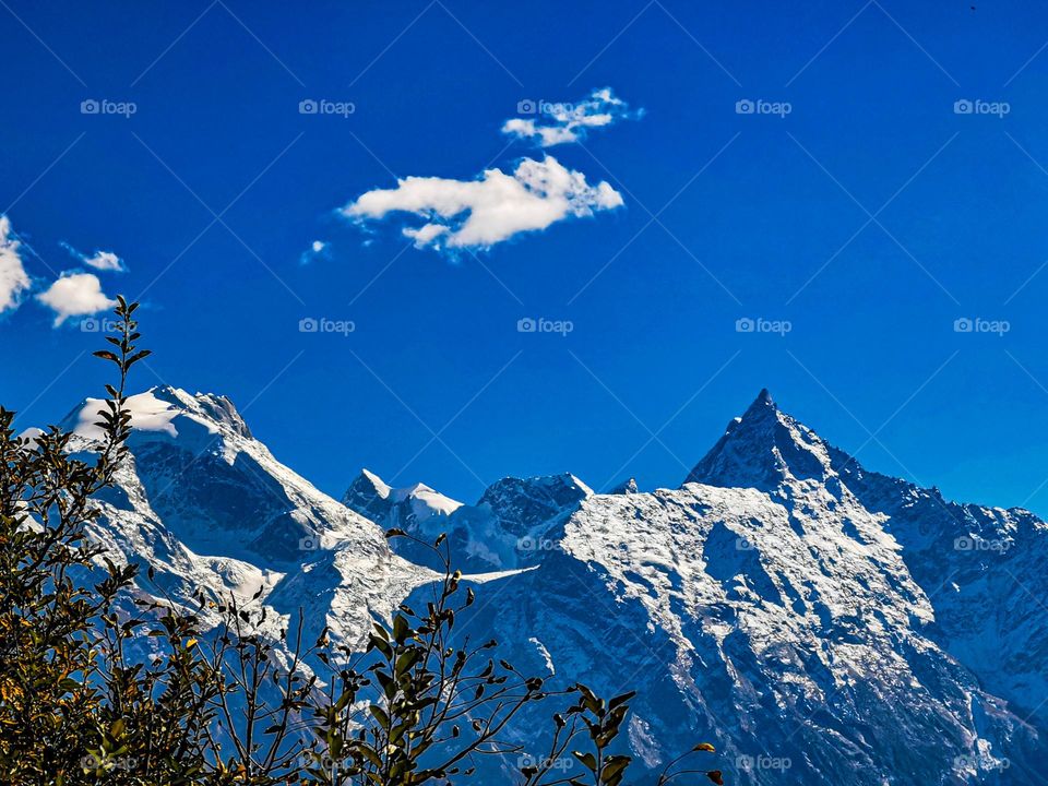 a sky scrapper nature