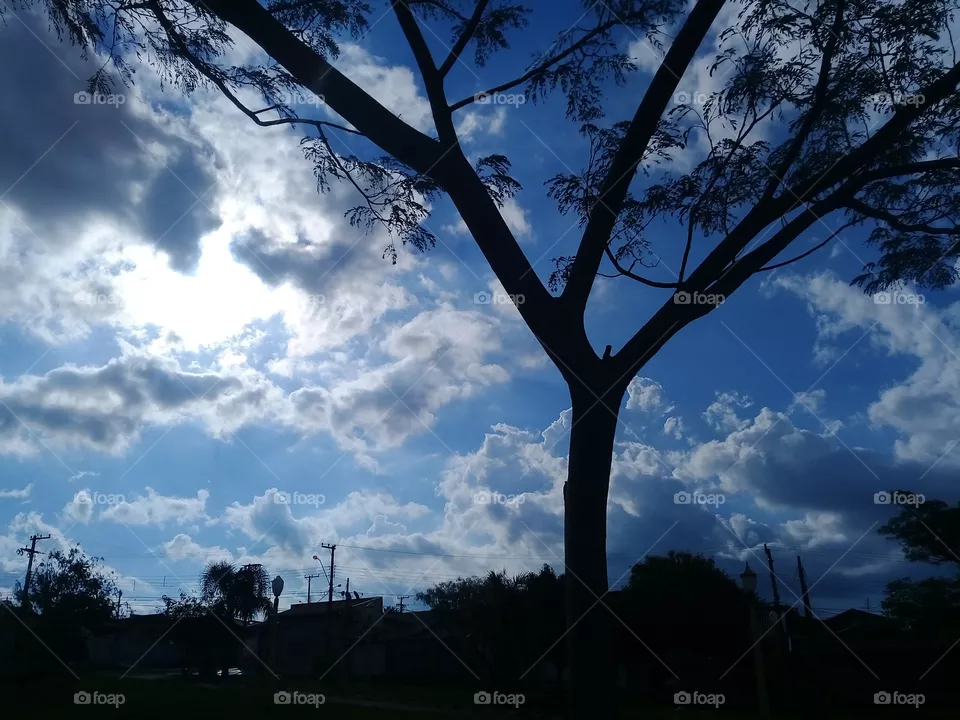 View