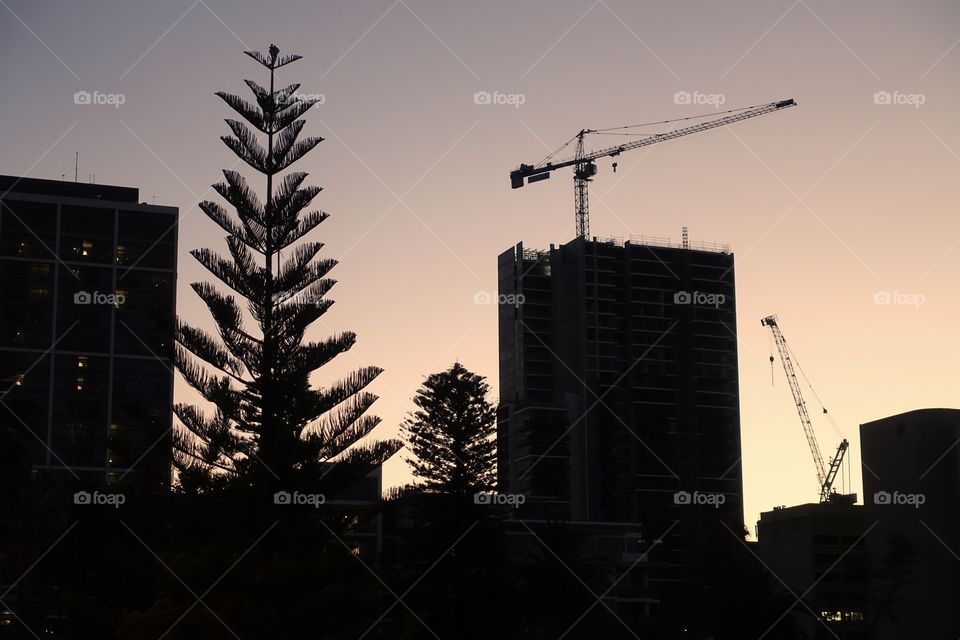 The view of construction site in the evening: between nature and industry.