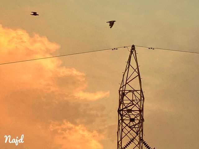 clouds and birds