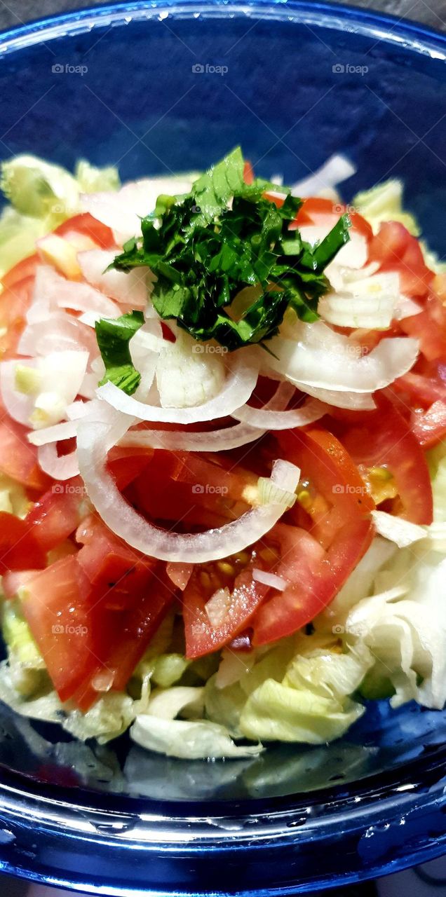 rich salad, nutritious and colorful vegetables.  Cilantro, onion, tomato, lettuce.