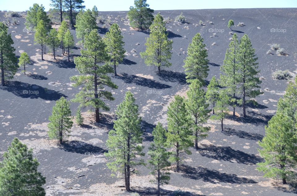 Volcano Crater in Flagstaff , Arizona