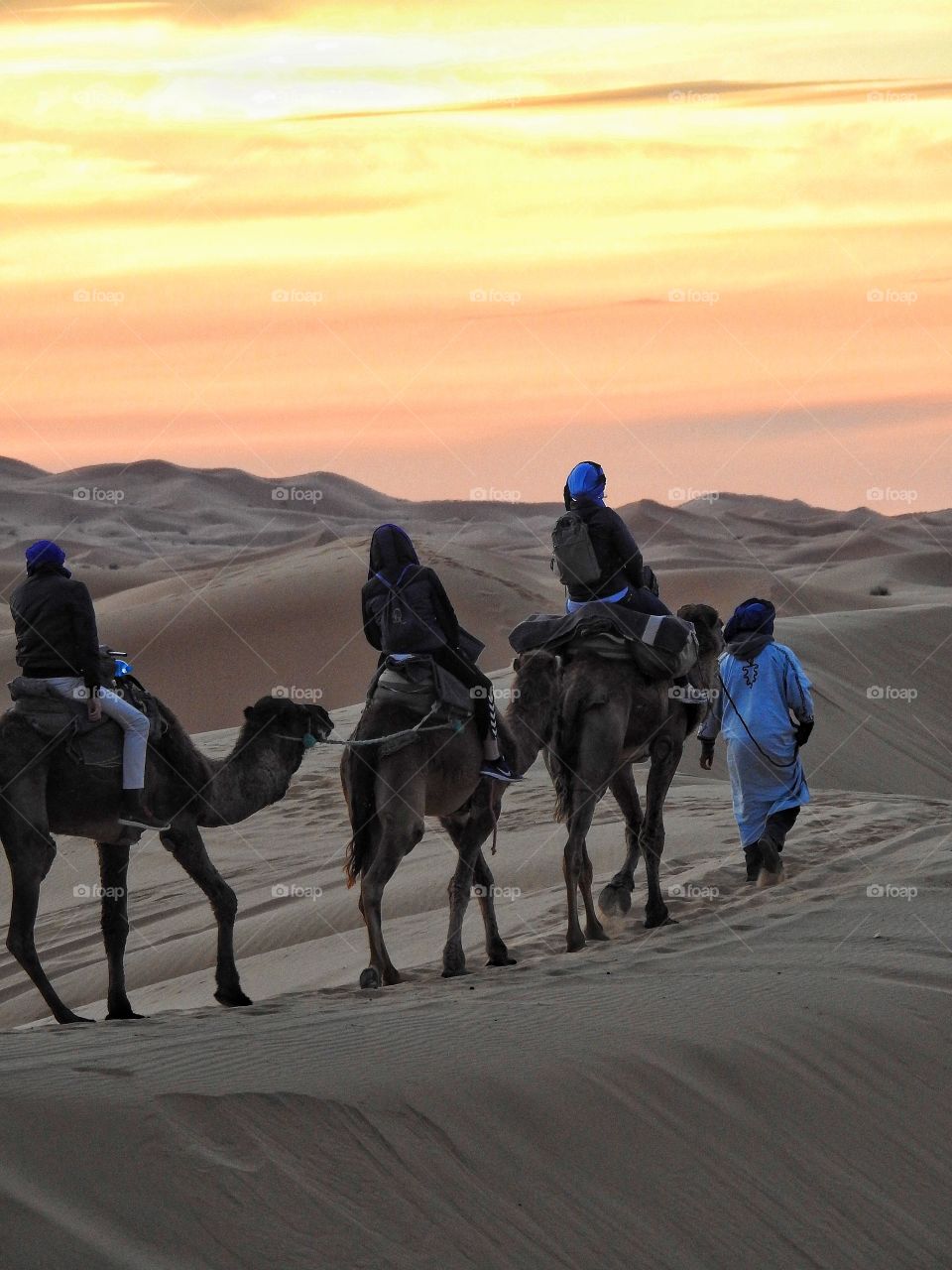 Riding in the Sahara desert