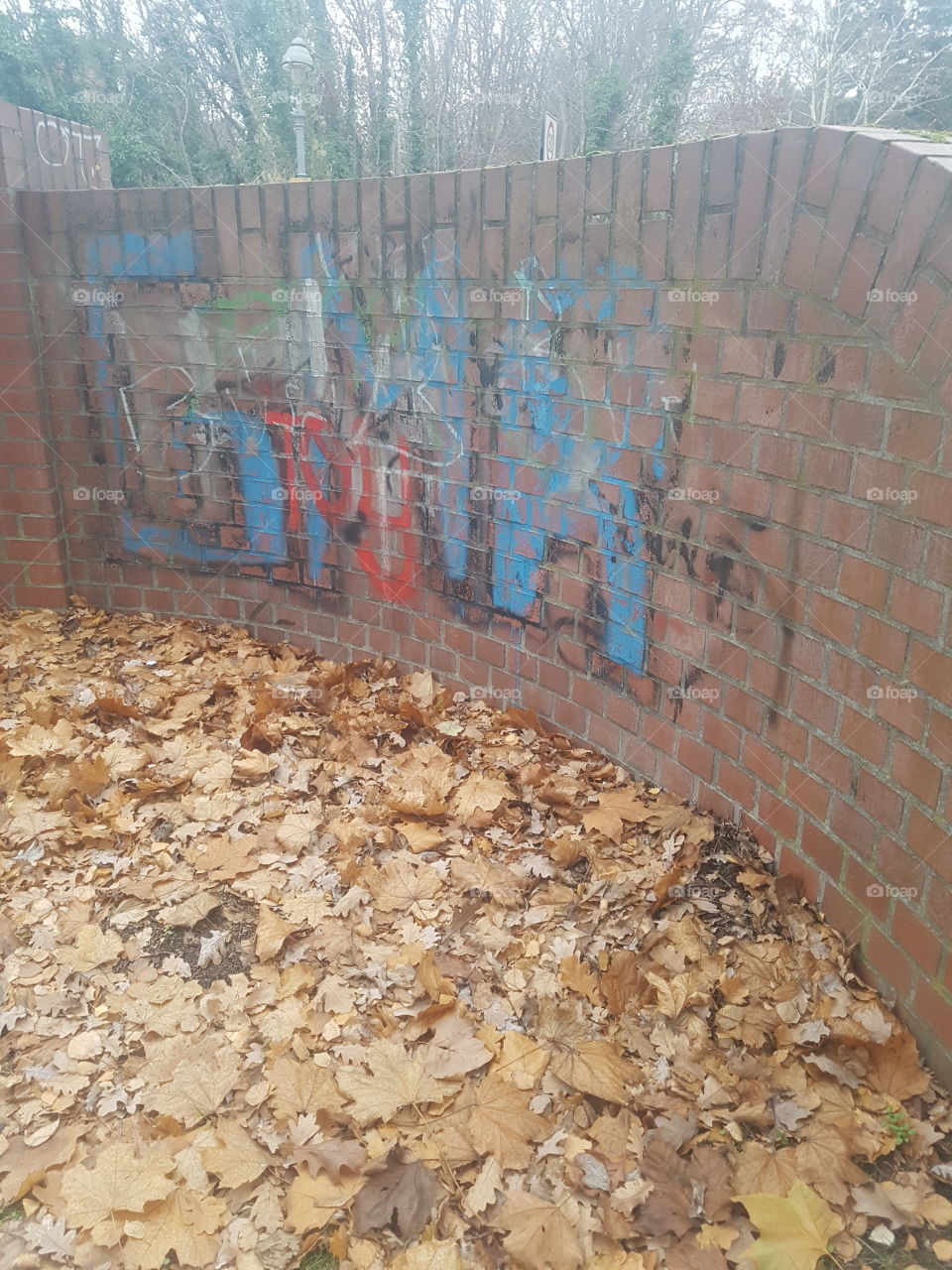 Grafitti