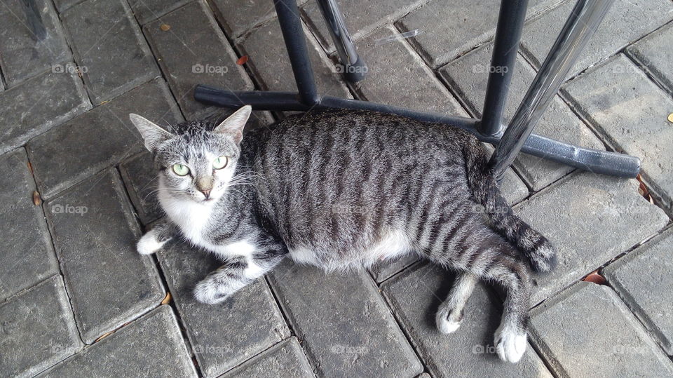 waiting for the food