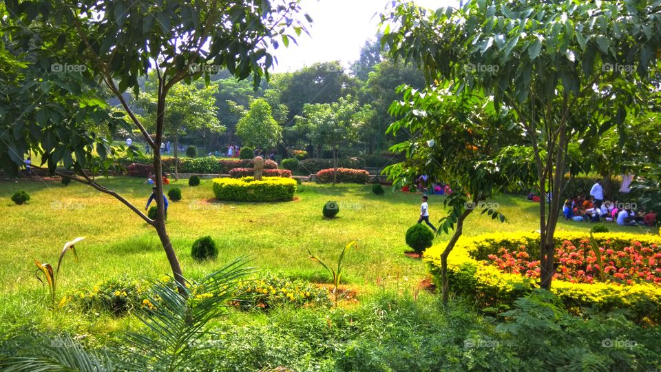 (vizag) , park , Andhra Pradesh