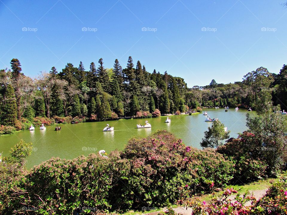 The Black Lake of Gramado(Brazil) has anos exuberante nature, a lake  background of dark green