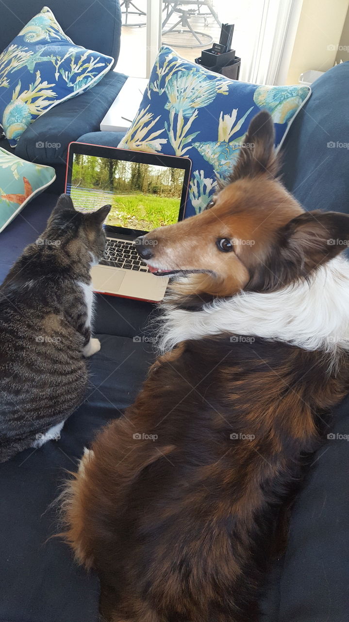 when you can't get to Nature bring nature to you