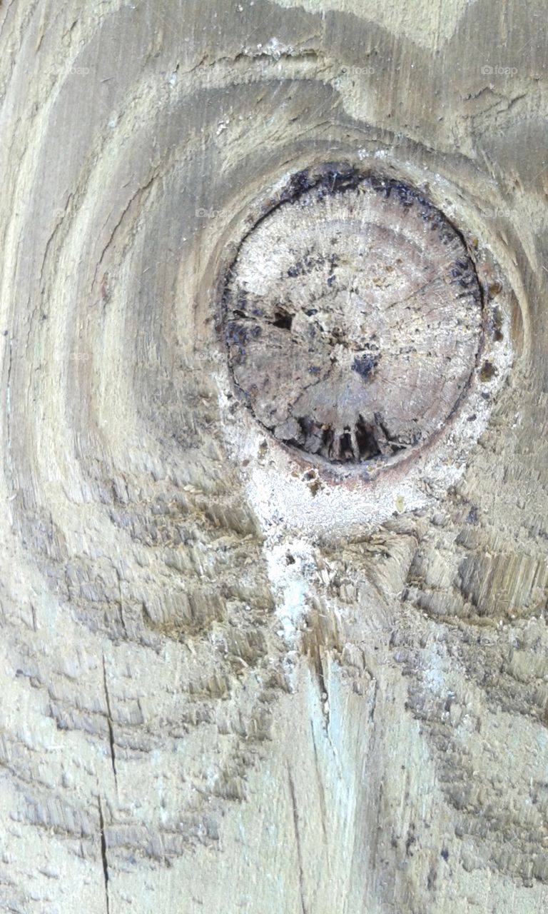 face in the wood knot. this knot looked like a face to me