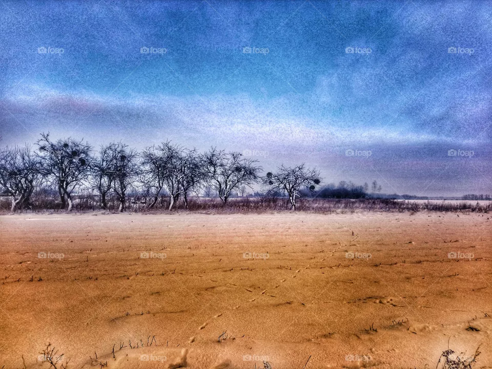 Tree