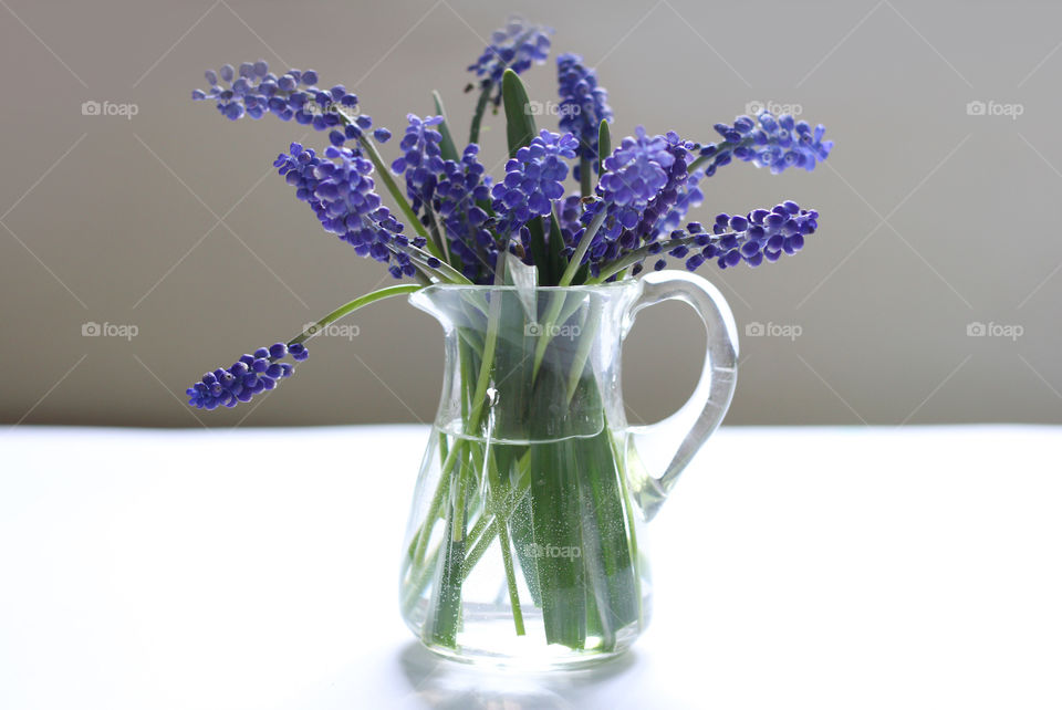 Bluw flowers in a vase