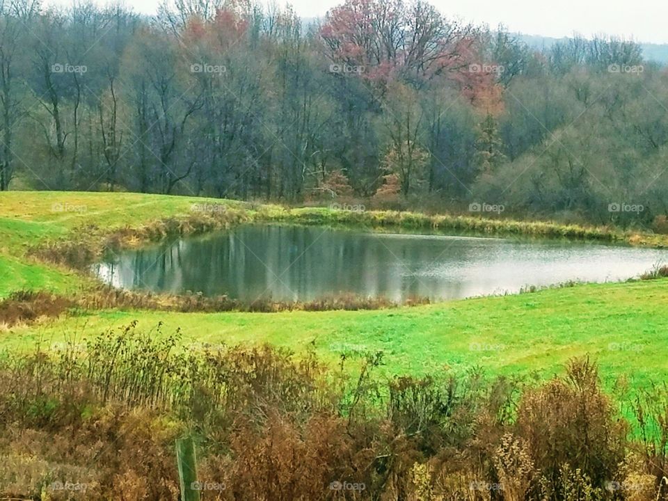 autumn lake trees water