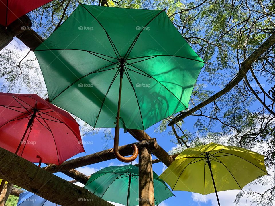 Colorful Umbrella 