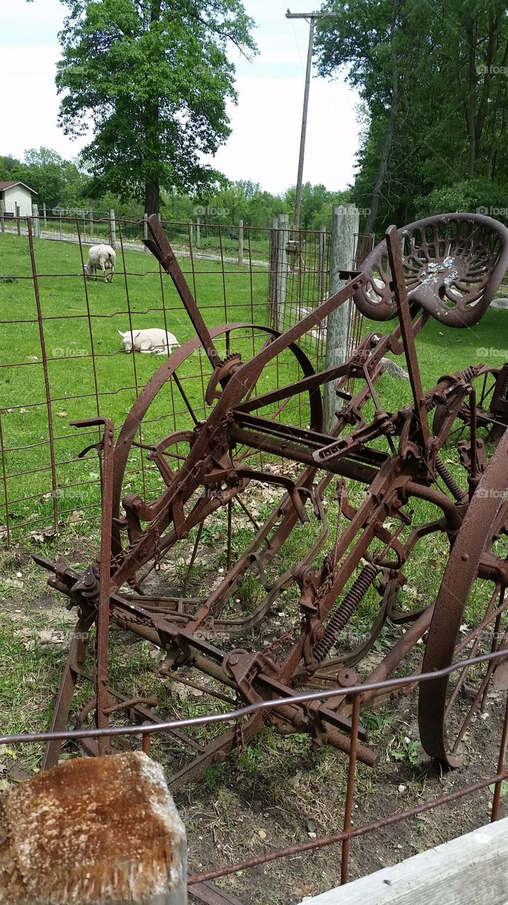 plow at rest. rust furrows the old farm implements