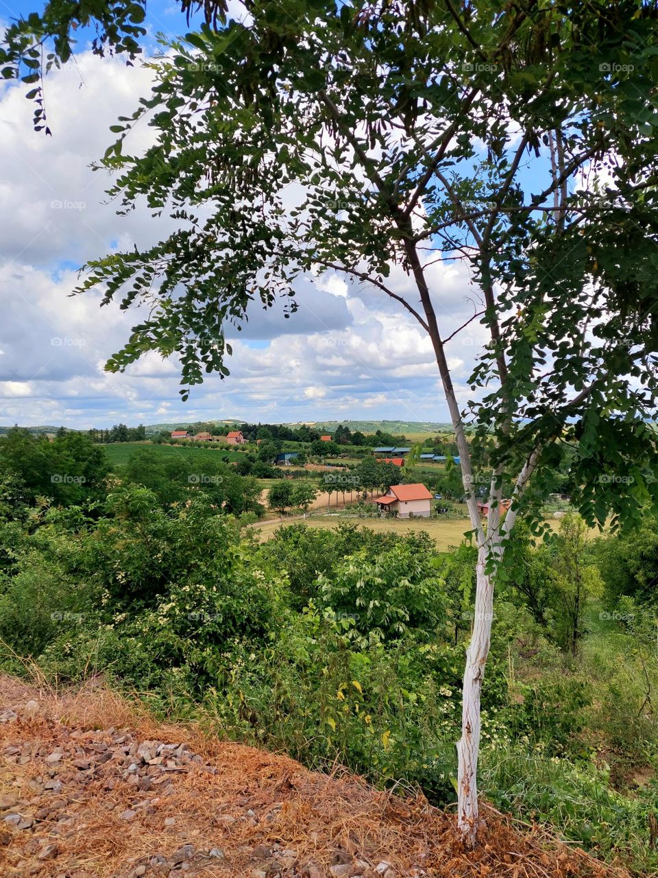 A view from above of a wonderful rural landscape in spring colors