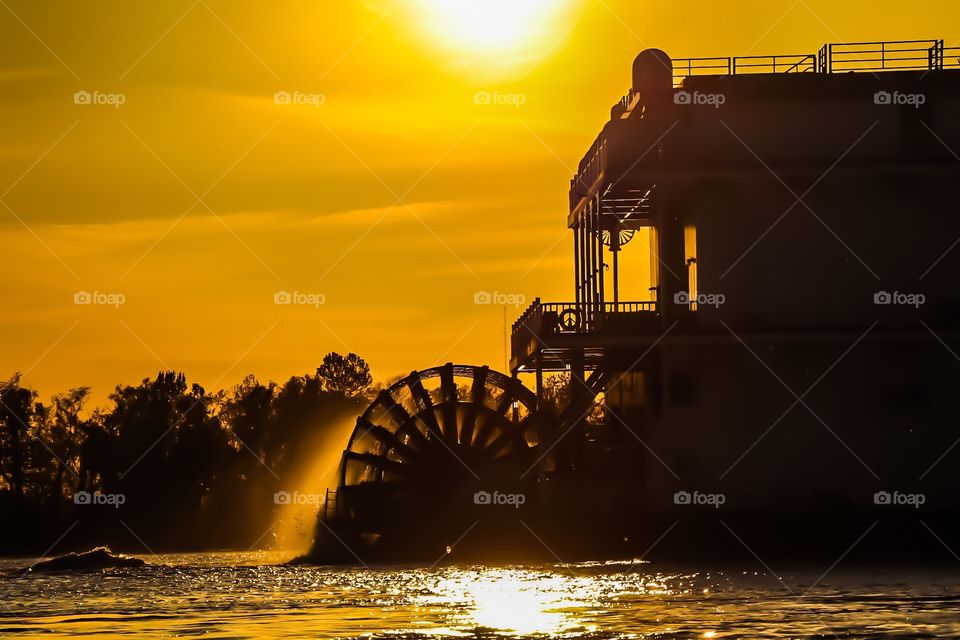 Paddle wheel 