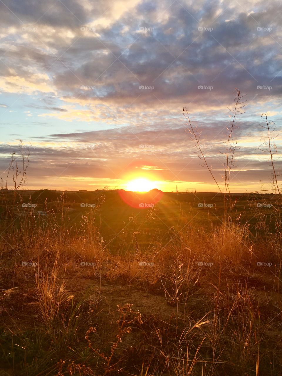 Sunset beams in the evening 