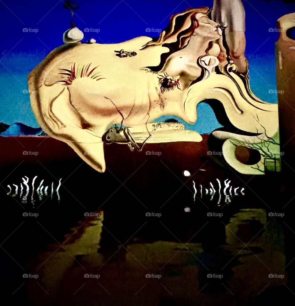 Bassins des lumières , Bordeaux Novembre 2023 . 