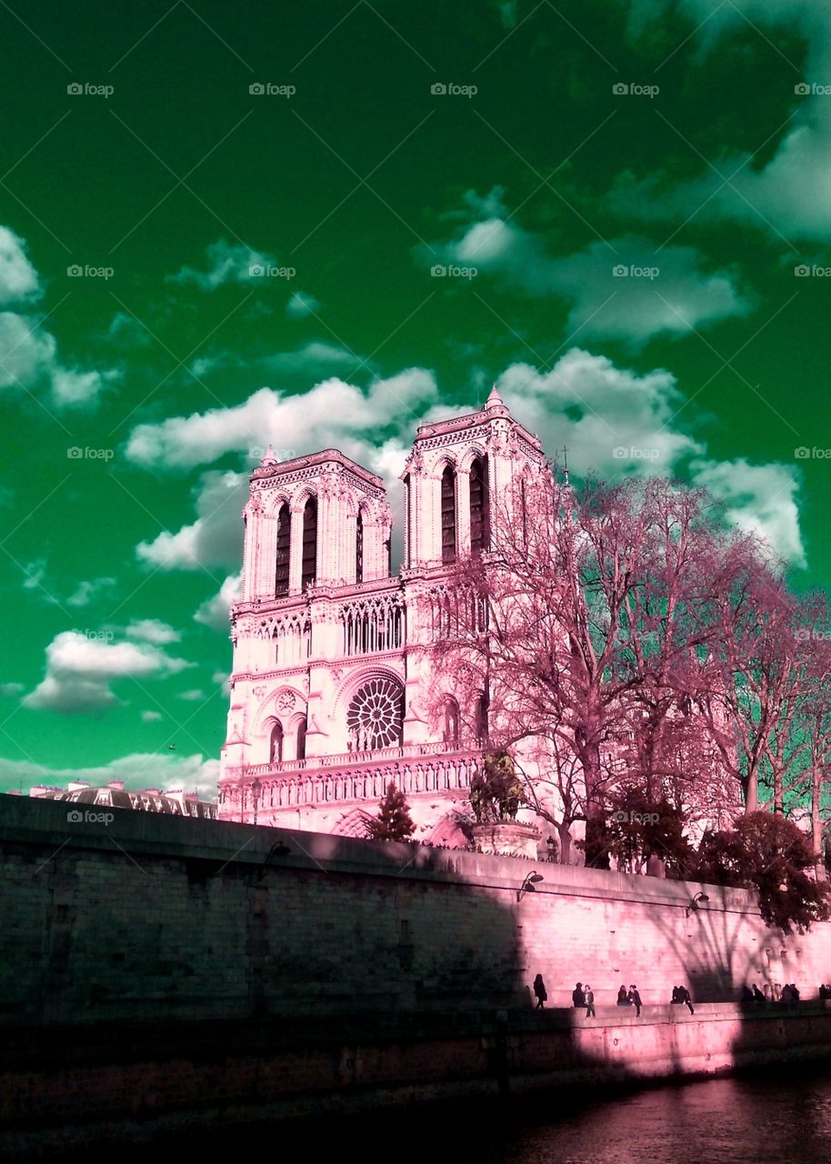 Notre Dame de Paris France