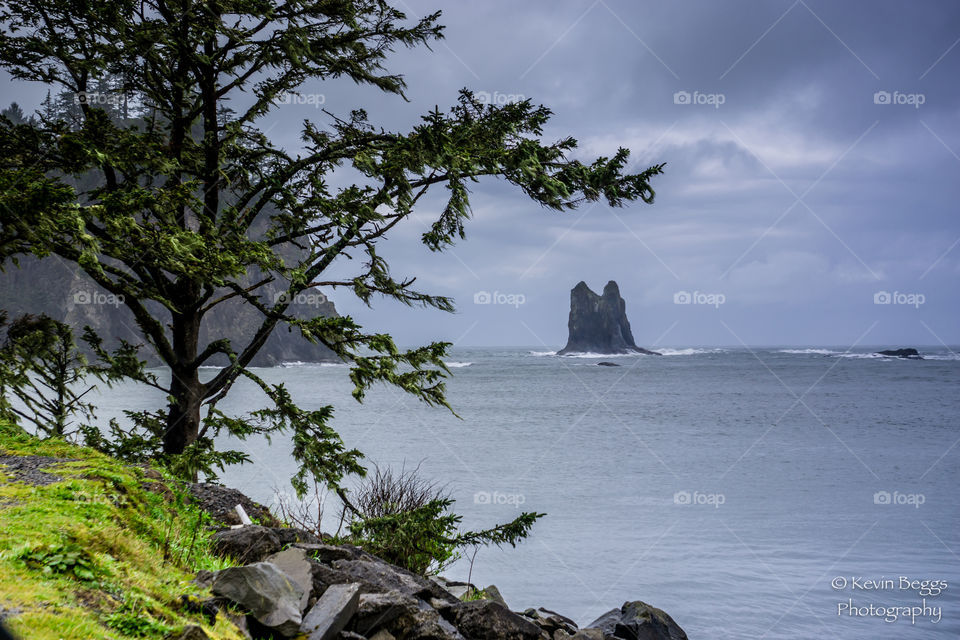 La Push 