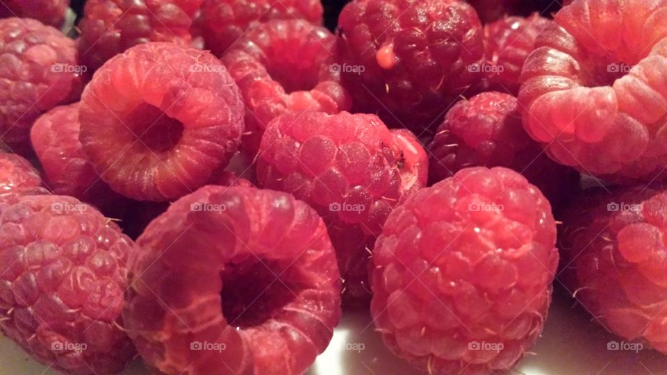 Red raspberries