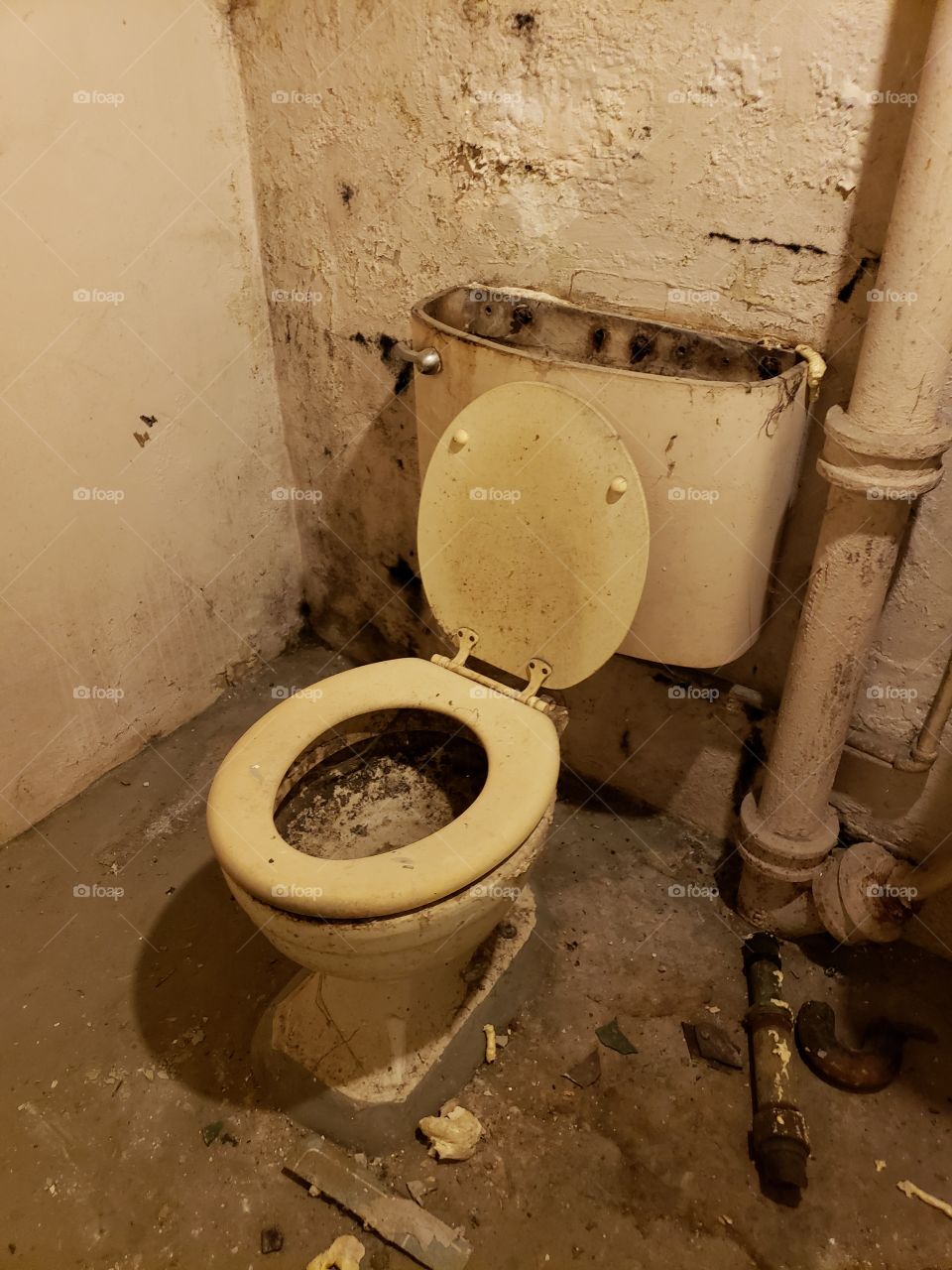 old dingy dirty gross toilet