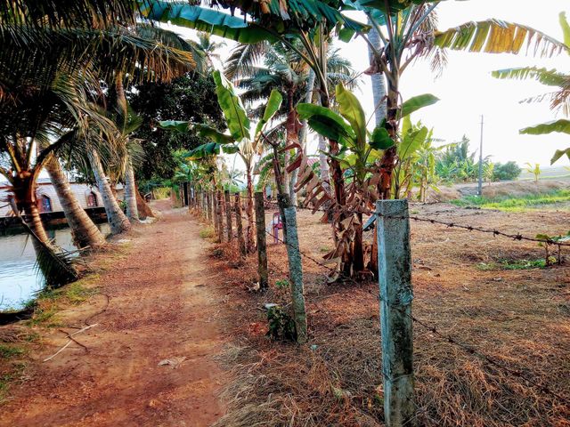 farm