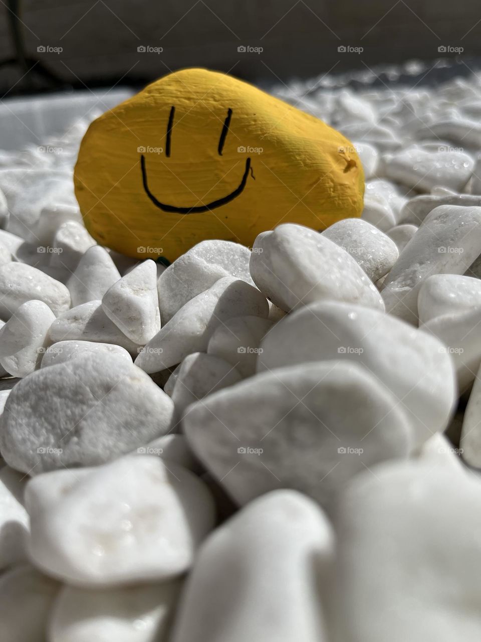 A smiling happy yellow rock in a sea of white rocks bringing joy to all.