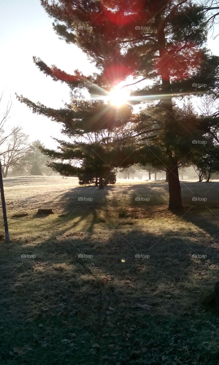 A Beautiful Bunn Park Morning!