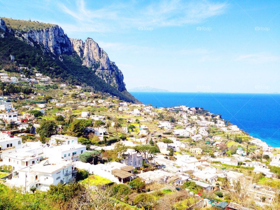 The View from the Top