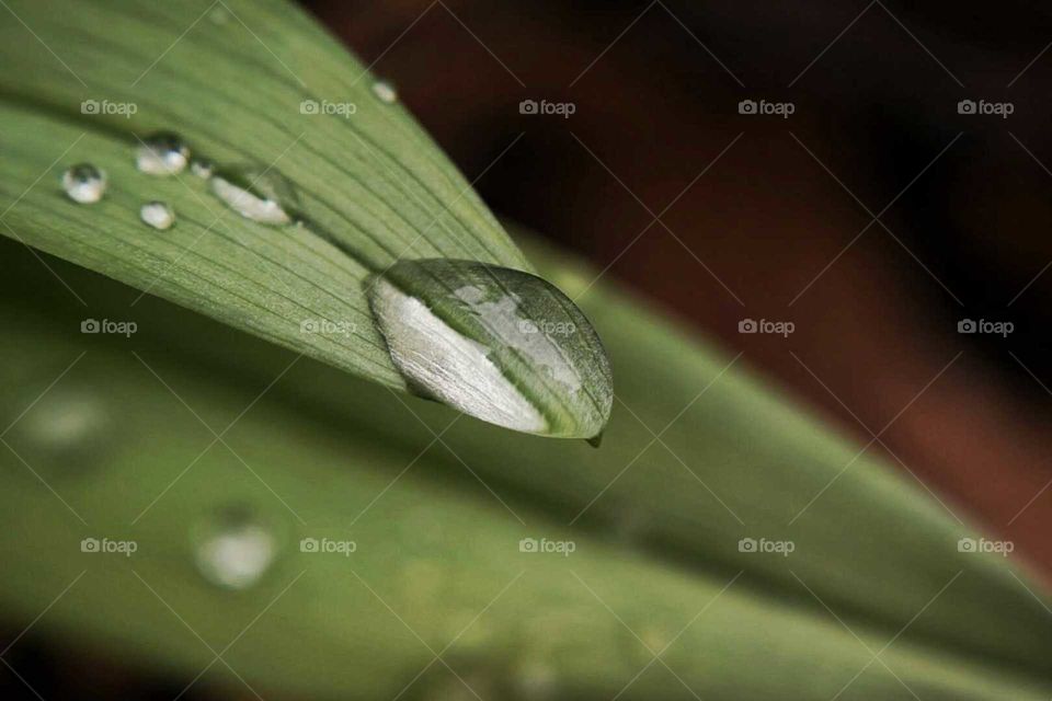 rain