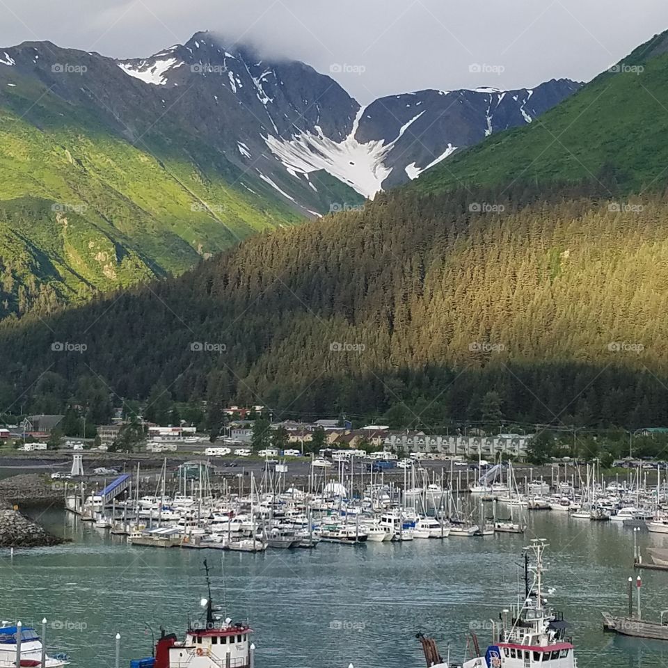 Alaska harbor