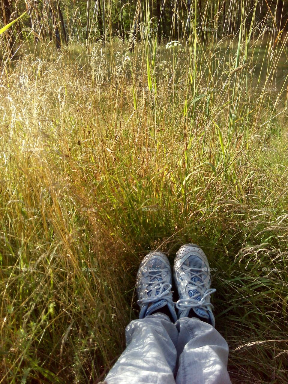 shoes rest in green grass solar