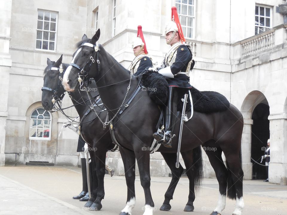 Horse Guard Inspection