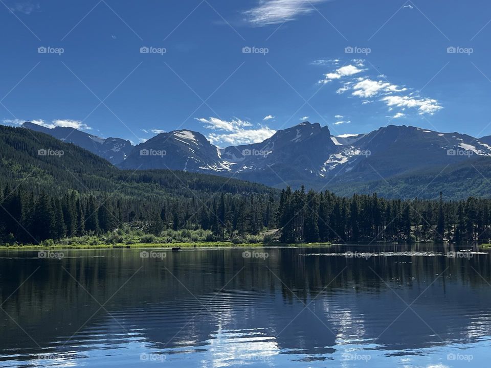 Beautiful view of the Rocky Mountains across sprague lake with a moose wading in its waters at Rocky Mountain national park. 