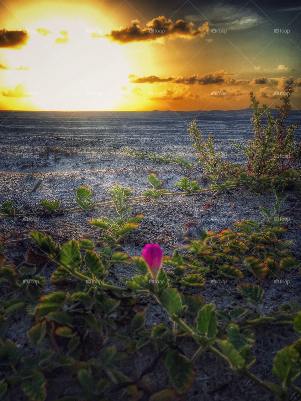 Sunrise at the beach
