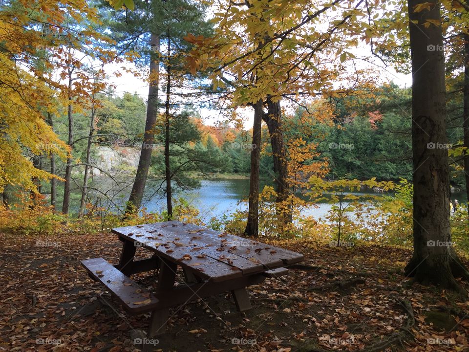 Gatineau Park bench fall lake