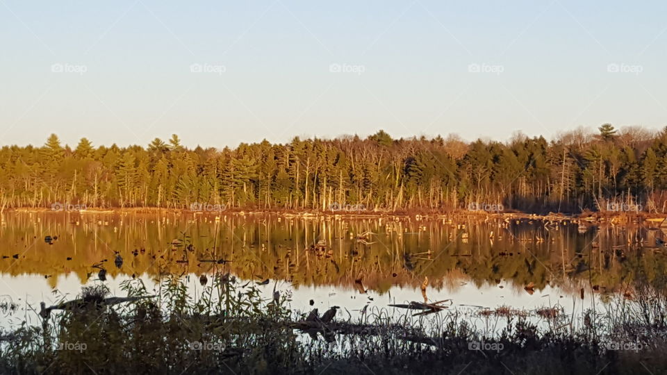 sundown on the water