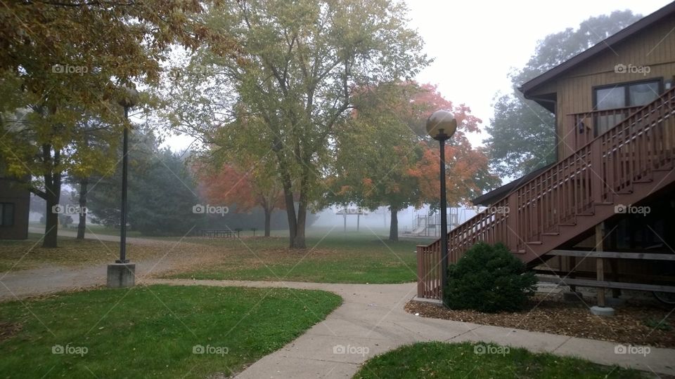 fog. foggy day in the neighborhood