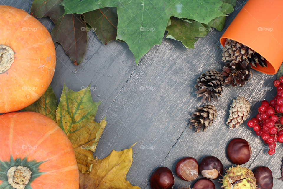 Vegetables, Halloween, pumpkin, corn, harvest, fertility, agriculture, food, cones, forest, birch branches