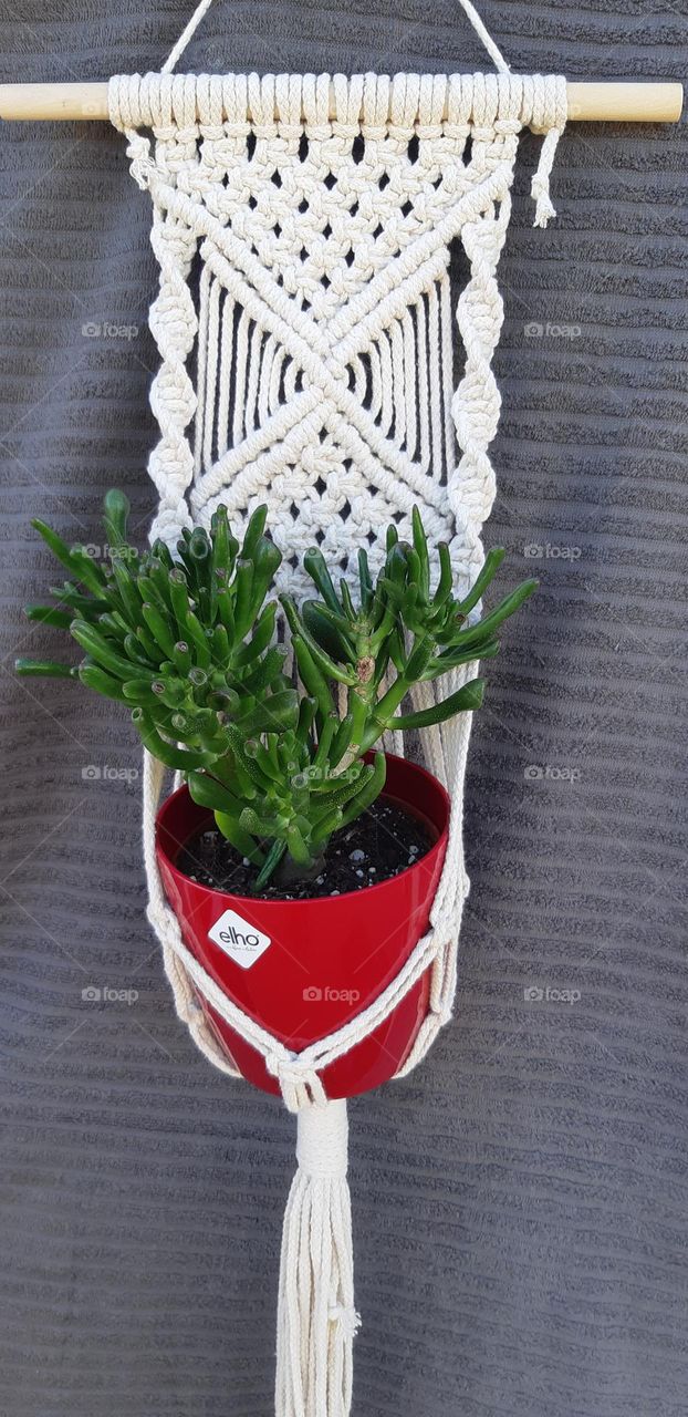 plant ornament