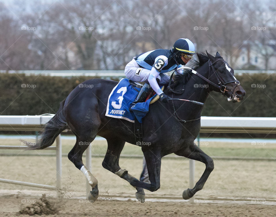 Independence Hall Wins the 150th running of the Jerome stakes at Aqueduct.