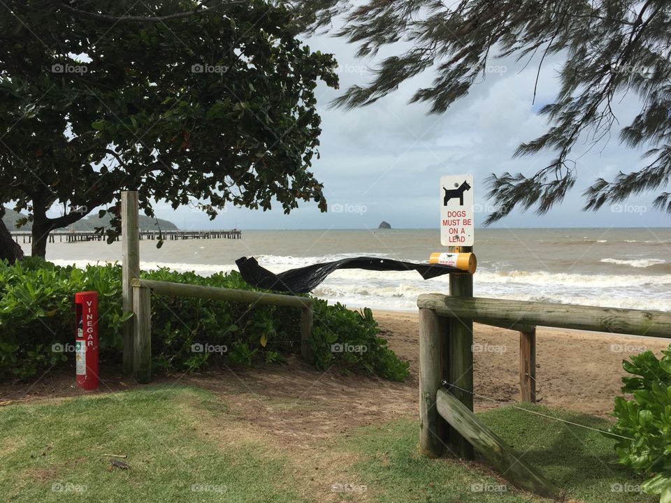 Palm Cove Beach On A Windy Day