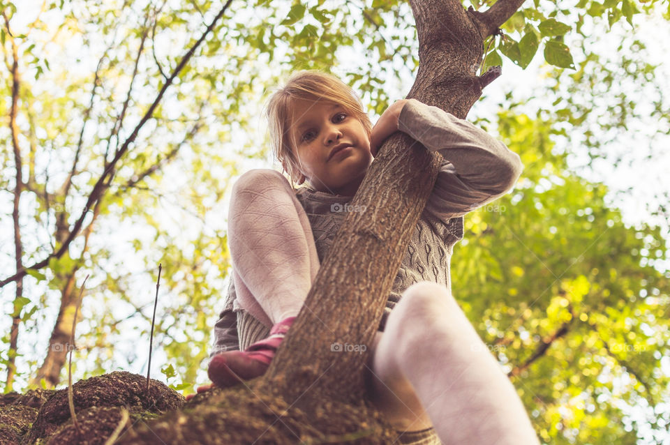 girl on the tree